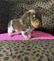 processed/8e293c58-79b2-4ad3-8e82-ffed0242e667/listing/0dddcab8-d028-4754-8edb-e0ecb29fe01d/053cdfd8-0db9-4f2a-89bd-d35fcab35465