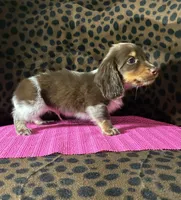 processed/8e293c58-79b2-4ad3-8e82-ffed0242e667/listing/0dddcab8-d028-4754-8edb-e0ecb29fe01d/0c4c4ad6-7122-4b93-9741-6188940818ed