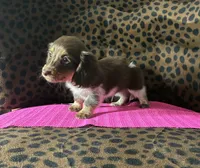 processed/8e293c58-79b2-4ad3-8e82-ffed0242e667/listing/0dddcab8-d028-4754-8edb-e0ecb29fe01d/404965cf-570a-4ad1-bbc0-3afc9e3c3314