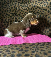 processed/8e293c58-79b2-4ad3-8e82-ffed0242e667/listing/0dddcab8-d028-4754-8edb-e0ecb29fe01d/491ead28-52d4-42a9-b2a6-cd623ea04670