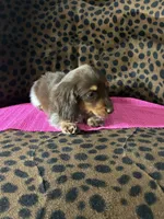 processed/8e293c58-79b2-4ad3-8e82-ffed0242e667/listing/0dddcab8-d028-4754-8edb-e0ecb29fe01d/492e70aa-2c40-486a-b4b8-8fabfb8fe3d4