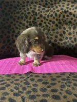 processed/8e293c58-79b2-4ad3-8e82-ffed0242e667/listing/0dddcab8-d028-4754-8edb-e0ecb29fe01d/4ef5f6fa-a5c7-4bd3-84ce-891613fa8c52