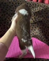 processed/8e293c58-79b2-4ad3-8e82-ffed0242e667/listing/0dddcab8-d028-4754-8edb-e0ecb29fe01d/74f8ab5e-b64c-4dc7-bbf8-fb9e49477510