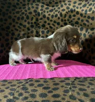 processed/8e293c58-79b2-4ad3-8e82-ffed0242e667/listing/0dddcab8-d028-4754-8edb-e0ecb29fe01d/bb40cec7-3d3c-4bfb-ba1a-bd9bb66939e2