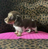 processed/8e293c58-79b2-4ad3-8e82-ffed0242e667/listing/0dddcab8-d028-4754-8edb-e0ecb29fe01d/eeae928a-21cd-4e57-a93a-d485d5466a33