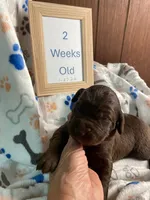 processed/8e2efc52-6108-4874-bbe8-728f38a12b3f/listing/5b74da76-e14e-4db4-b044-16e0b848965c/47037ee1-8a02-4eac-9207-b8f63b54d804