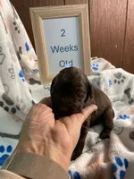 processed/8e2efc52-6108-4874-bbe8-728f38a12b3f/listing/5ca56132-b146-4d53-9842-4671863c28b6/373f4053-8870-46f3-b721-56250b1477e2