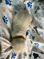 processed/8e2efc52-6108-4874-bbe8-728f38a12b3f/listing/7557917f-a20b-428f-b608-e91c14bd80bb/76df8068-785d-4e16-bda3-c11ad630b2fe