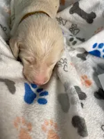 processed/8e2efc52-6108-4874-bbe8-728f38a12b3f/listing/7557917f-a20b-428f-b608-e91c14bd80bb/a7562efe-2cf0-4e25-ac57-c12b361c21d1