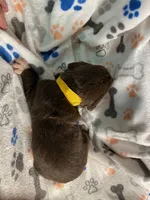 processed/8e2efc52-6108-4874-bbe8-728f38a12b3f/listing/bf4e9171-334f-4f74-b502-d670ac66b178/4f61368c-4197-4f7d-81db-eafb16e552f0