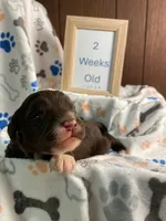 processed/8e2efc52-6108-4874-bbe8-728f38a12b3f/listing/bf4e9171-334f-4f74-b502-d670ac66b178/cb466c3d-5466-48d9-95bc-0812d967c65d