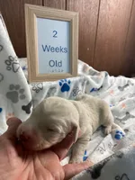 processed/8e2efc52-6108-4874-bbe8-728f38a12b3f/listing/c014fe27-167a-49bd-970b-32a4264d282f/42721d1a-98cc-475b-b361-5f914c5429ab