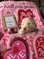 processed/8e2efc52-6108-4874-bbe8-728f38a12b3f/listing/c014fe27-167a-49bd-970b-32a4264d282f/a1e076d4-c2c9-49e9-9292-8213054d152c