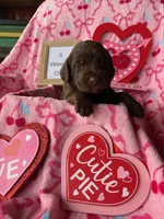 processed/8e2efc52-6108-4874-bbe8-728f38a12b3f/listing/c014fe27-167a-49bd-970b-32a4264d282f/cfb8321c-0500-4766-b509-673ba0239f03