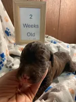 processed/8e2efc52-6108-4874-bbe8-728f38a12b3f/listing/ce00fb07-b05c-4cfa-8274-c82ed9d67178/2215b374-408c-4b07-afec-e6116ae68100