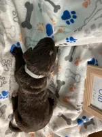 processed/8e2efc52-6108-4874-bbe8-728f38a12b3f/listing/ce00fb07-b05c-4cfa-8274-c82ed9d67178/c0e8be14-b25c-43b9-9d3e-263c8589e8f4