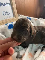 processed/8e2efc52-6108-4874-bbe8-728f38a12b3f/listing/d36064fd-e812-4b8a-9765-8a5ea243395e/144d3701-35ee-41ec-a0e6-b45d0a8648cf