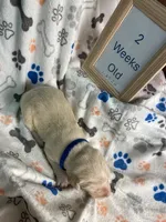 processed/8e2efc52-6108-4874-bbe8-728f38a12b3f/listing/ec6ddcd3-45ec-4870-80a7-e0c290b7b904/14cbf380-f553-4922-8feb-ac437110b181