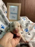 processed/8e2efc52-6108-4874-bbe8-728f38a12b3f/listing/ec6ddcd3-45ec-4870-80a7-e0c290b7b904/9b18a105-6c44-4253-9ed5-8295c3c4df8f