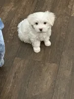 processed/8e32ea02-98fc-41e3-af30-a273ce23bec4/listing/23e5d455-1385-470a-ae0a-52c7e046cc8f/238944e7-70b1-42b3-b25b-eb81b08233e4