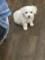 processed/8e32ea02-98fc-41e3-af30-a273ce23bec4/listing/23e5d455-1385-470a-ae0a-52c7e046cc8f/b8d36b93-2ee5-48d6-8913-8584f782f4bb