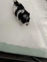 processed/8e32ea02-98fc-41e3-af30-a273ce23bec4/listing/2422a227-153b-43cb-bd17-5e6c700c736c/1421a1c9-8fd0-441f-a9bb-4e78bd785209