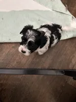 processed/8e32ea02-98fc-41e3-af30-a273ce23bec4/listing/2422a227-153b-43cb-bd17-5e6c700c736c/29af2af2-c818-4659-9018-6c2aa0f6cf62