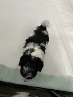 processed/8e32ea02-98fc-41e3-af30-a273ce23bec4/listing/2422a227-153b-43cb-bd17-5e6c700c736c/851dd390-8ec1-4f6b-86c4-de741c434ac4