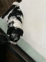 processed/8e32ea02-98fc-41e3-af30-a273ce23bec4/listing/2422a227-153b-43cb-bd17-5e6c700c736c/8a111d6f-db25-42d1-a97e-c03a4699efc3