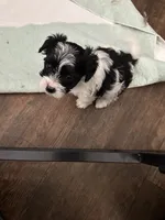 processed/8e32ea02-98fc-41e3-af30-a273ce23bec4/listing/2422a227-153b-43cb-bd17-5e6c700c736c/acbe5a3c-359c-40fc-bc9d-e6cd033480fe