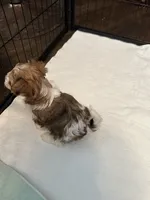 processed/8e32ea02-98fc-41e3-af30-a273ce23bec4/listing/4f9b30f9-b6d5-4b3d-b100-7d9970f59307/09d11641-2282-4df6-a12e-0aec2223c0ef