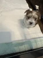 processed/8e32ea02-98fc-41e3-af30-a273ce23bec4/listing/4f9b30f9-b6d5-4b3d-b100-7d9970f59307/2feaa365-4af6-4635-8c62-001d9969a2b8