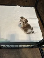 processed/8e32ea02-98fc-41e3-af30-a273ce23bec4/listing/4f9b30f9-b6d5-4b3d-b100-7d9970f59307/3c12bfde-6e1c-4f7b-8856-03c3ee7665a1