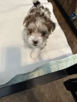 processed/8e32ea02-98fc-41e3-af30-a273ce23bec4/listing/4f9b30f9-b6d5-4b3d-b100-7d9970f59307/43e41c09-c018-46ac-bc03-378529d60814