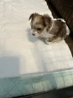 processed/8e32ea02-98fc-41e3-af30-a273ce23bec4/listing/4f9b30f9-b6d5-4b3d-b100-7d9970f59307/60c737bc-4c07-47c0-85cc-7efb8bfaab73