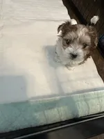 processed/8e32ea02-98fc-41e3-af30-a273ce23bec4/listing/4f9b30f9-b6d5-4b3d-b100-7d9970f59307/8de5a9be-8e60-447e-b08c-aaf873ed2b12