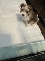 processed/8e32ea02-98fc-41e3-af30-a273ce23bec4/listing/4f9b30f9-b6d5-4b3d-b100-7d9970f59307/9eca2d0c-ca46-470c-ada3-2129fad9d666