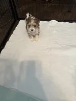 processed/8e32ea02-98fc-41e3-af30-a273ce23bec4/listing/4f9b30f9-b6d5-4b3d-b100-7d9970f59307/e4f3e9e7-5c77-4c17-ac05-87d5f2027925