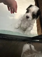 processed/8e32ea02-98fc-41e3-af30-a273ce23bec4/listing/6aaa8557-cd22-45c0-8459-462afa12a292/27c82bd7-2fc4-4b7e-9fb8-85314891d0b4