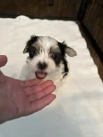 processed/8e32ea02-98fc-41e3-af30-a273ce23bec4/listing/6aaa8557-cd22-45c0-8459-462afa12a292/3d983178-a93f-40c5-bdf7-150e8477f24b