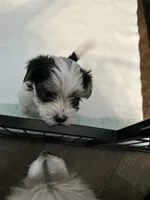 processed/8e32ea02-98fc-41e3-af30-a273ce23bec4/listing/6aaa8557-cd22-45c0-8459-462afa12a292/494404a5-d948-4783-900e-e810732430b5