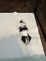 processed/8e32ea02-98fc-41e3-af30-a273ce23bec4/listing/6aaa8557-cd22-45c0-8459-462afa12a292/af4ae7f4-fef1-46d8-b5cc-9137881f9a4a