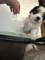 processed/8e32ea02-98fc-41e3-af30-a273ce23bec4/listing/6aaa8557-cd22-45c0-8459-462afa12a292/e943923a-7c25-4398-9f60-f00eab852387