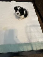 processed/8e32ea02-98fc-41e3-af30-a273ce23bec4/listing/ebda5a5e-1264-44e1-88e3-59190bda03ba/1df007ad-037f-45a7-8f83-9186ee737d7a