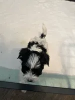 processed/8e32ea02-98fc-41e3-af30-a273ce23bec4/listing/ebda5a5e-1264-44e1-88e3-59190bda03ba/3c815dde-cfba-44e9-bb94-faf71b2fd0c0