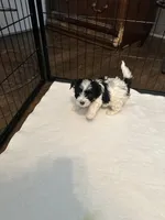 processed/8e32ea02-98fc-41e3-af30-a273ce23bec4/listing/ebda5a5e-1264-44e1-88e3-59190bda03ba/4daf7f3a-2f15-47a2-9131-11da666a3db5