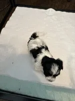 processed/8e32ea02-98fc-41e3-af30-a273ce23bec4/listing/ebda5a5e-1264-44e1-88e3-59190bda03ba/5b9f300d-5a86-4e7c-9977-58dff7e4dacb