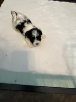 processed/8e32ea02-98fc-41e3-af30-a273ce23bec4/listing/ebda5a5e-1264-44e1-88e3-59190bda03ba/64a448a0-ae3f-45fc-ab4d-62a0f72183c9