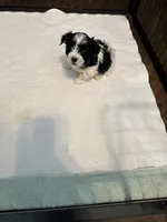 processed/8e32ea02-98fc-41e3-af30-a273ce23bec4/listing/ebda5a5e-1264-44e1-88e3-59190bda03ba/79007bcb-f129-4ce5-a015-67e926711db1