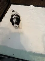 processed/8e32ea02-98fc-41e3-af30-a273ce23bec4/listing/ebda5a5e-1264-44e1-88e3-59190bda03ba/90794347-19fb-44cf-a61a-d1178ec09d63